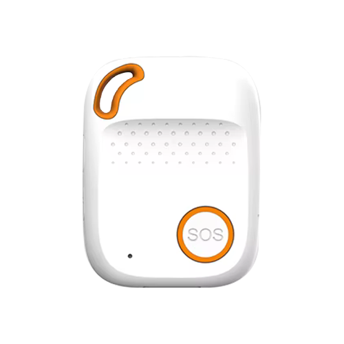 EVIEW SOS pendant